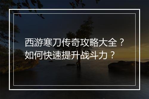 西游寒刀传奇攻略大全？如何快速提升战斗力？