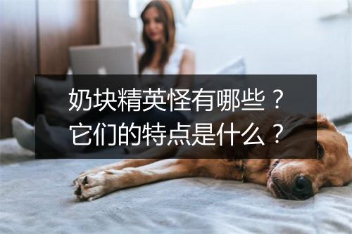 奶块精英怪有哪些？它们的特点是什么？