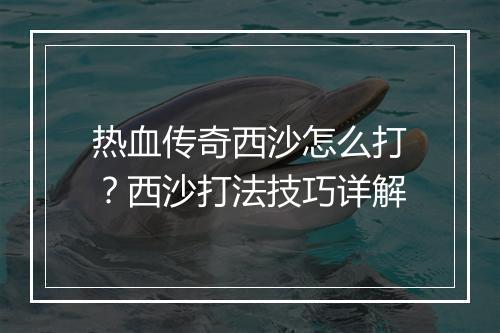 热血传奇西沙怎么打？西沙打法技巧详解