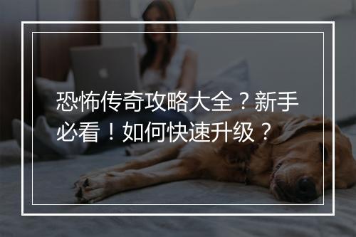 恐怖传奇攻略大全？新手必看！如何快速升级？