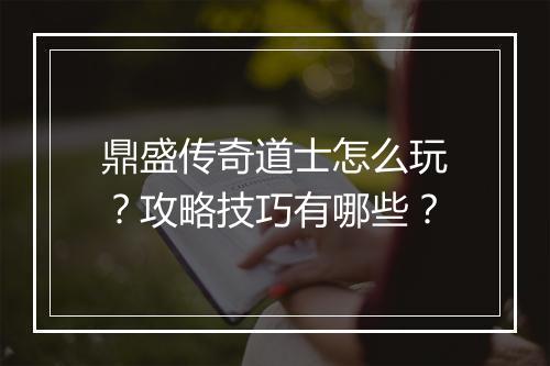 鼎盛传奇道士怎么玩？攻略技巧有哪些？