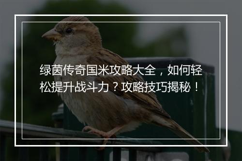 绿茵传奇国米攻略大全，如何轻松提升战斗力？攻略技巧揭秘！