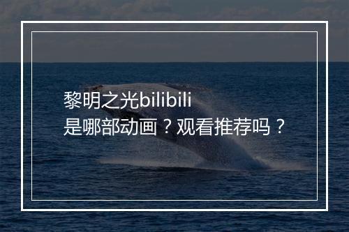 黎明之光bilibili是哪部动画？观看推荐吗？