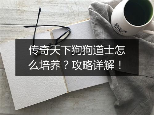 传奇天下狗狗道士怎么培养？攻略详解！