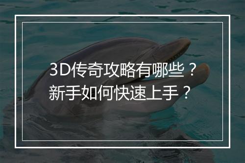 3D传奇攻略有哪些？新手如何快速上手？