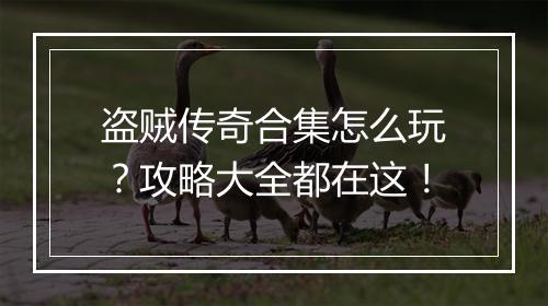 盗贼传奇合集怎么玩？攻略大全都在这！