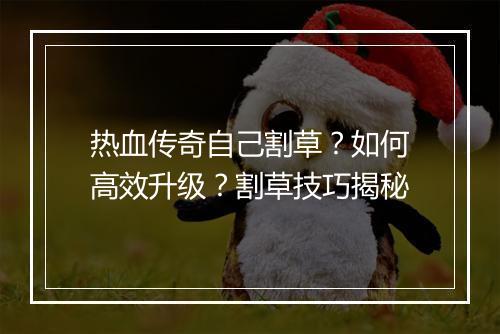 热血传奇自己割草？如何高效升级？割草技巧揭秘