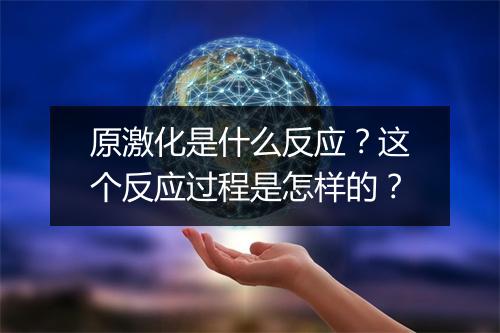 原激化是什么反应？这个反应过程是怎样的？