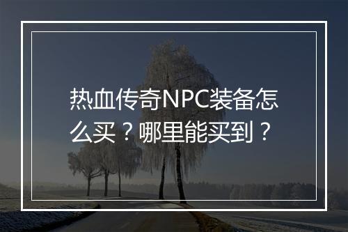 热血传奇NPC装备怎么买？哪里能买到？