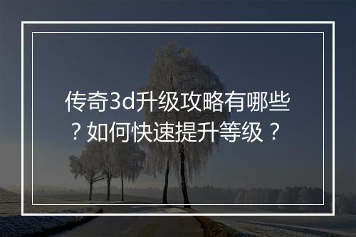 传奇3d升级攻略有哪些？如何快速提升等级？