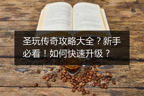圣玩传奇攻略大全？新手必看！如何快速升级？