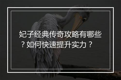 妃子经典传奇攻略有哪些？如何快速提升实力？