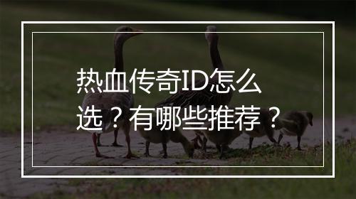热血传奇ID怎么选？有哪些推荐？