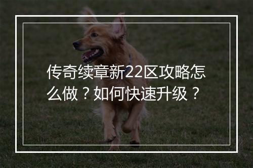 传奇续章新22区攻略怎么做？如何快速升级？