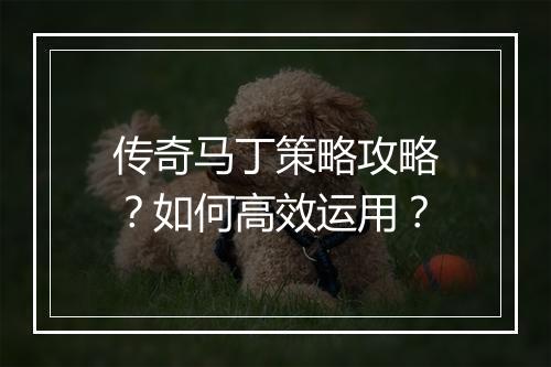 传奇马丁策略攻略？如何高效运用？