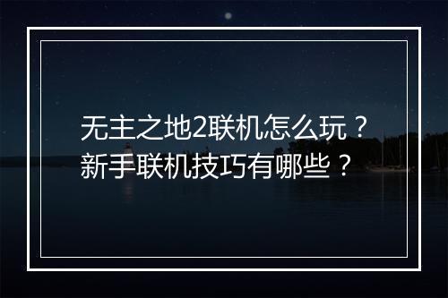 无主之地2联机怎么玩？新手联机技巧有哪些？