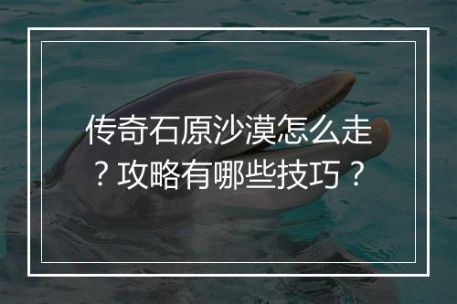 传奇石原沙漠怎么走？攻略有哪些技巧？