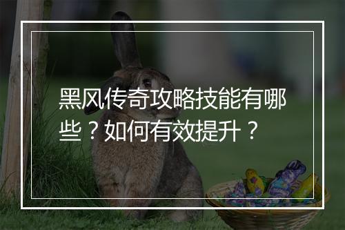 黑风传奇攻略技能有哪些？如何有效提升？