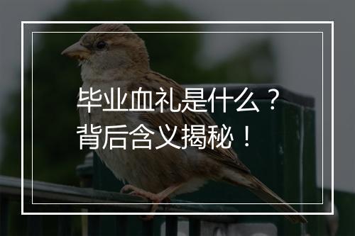 毕业血礼是什么？背后含义揭秘！