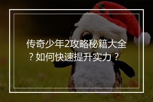 传奇少年2攻略秘籍大全？如何快速提升实力？