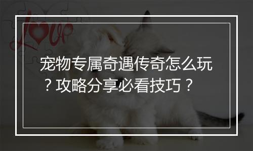 宠物专属奇遇传奇怎么玩？攻略分享必看技巧？