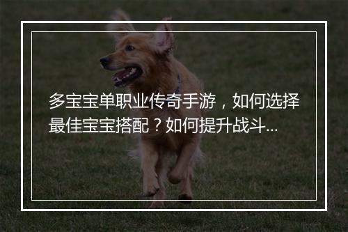 多宝宝单职业传奇手游，如何选择最佳宝宝搭配？如何提升战斗力？