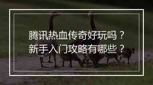 腾讯热血传奇好玩吗？新手入门攻略有哪些？