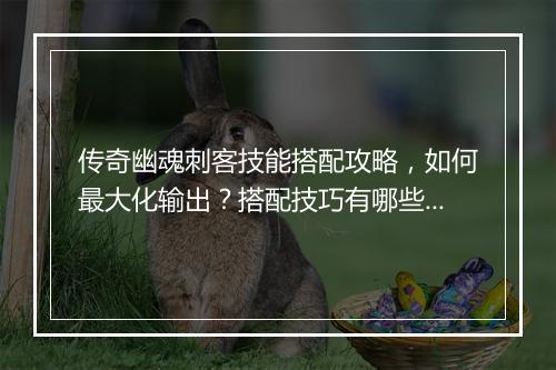 传奇幽魂刺客技能搭配攻略，如何最大化输出？搭配技巧有哪些？