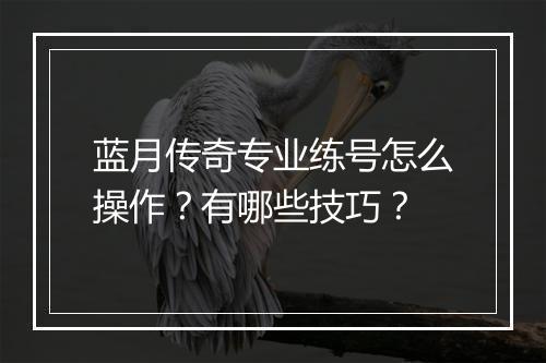 蓝月传奇专业练号怎么操作？有哪些技巧？
