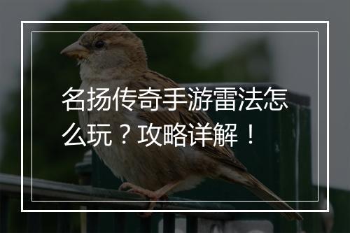 名扬传奇手游雷法怎么玩？攻略详解！