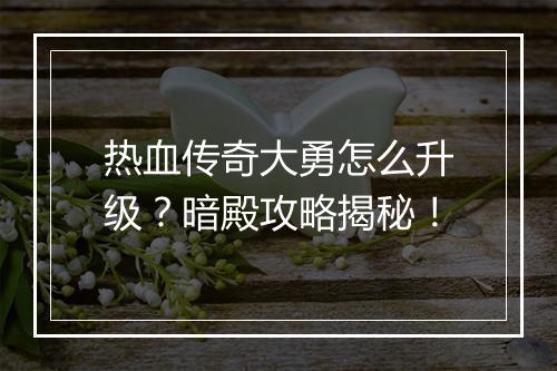 热血传奇大勇怎么升级？暗殿攻略揭秘！
