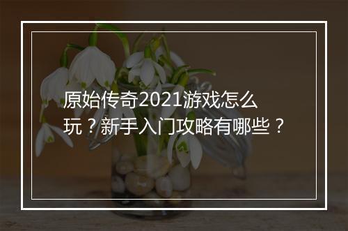 原始传奇2021游戏怎么玩？新手入门攻略有哪些？