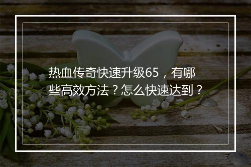 热血传奇快速升级65，有哪些高效方法？怎么快速达到？