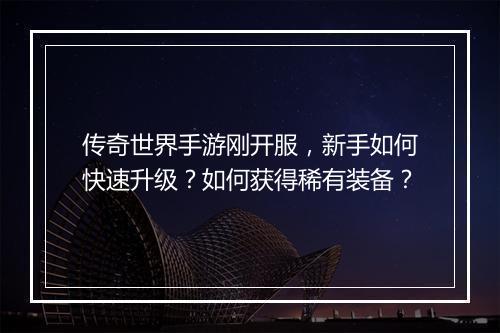 传奇世界手游刚开服，新手如何快速升级？如何获得稀有装备？