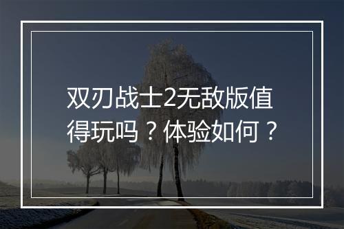 双刃战士2无敌版值得玩吗？体验如何？