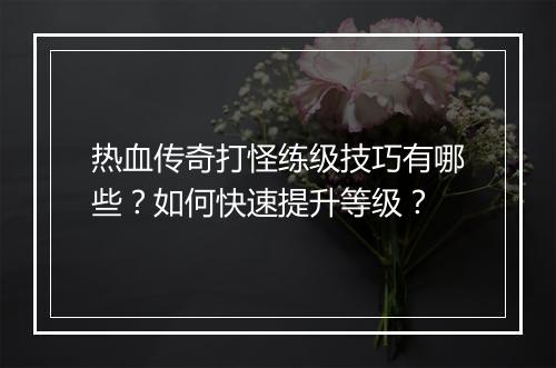 热血传奇打怪练级技巧有哪些？如何快速提升等级？