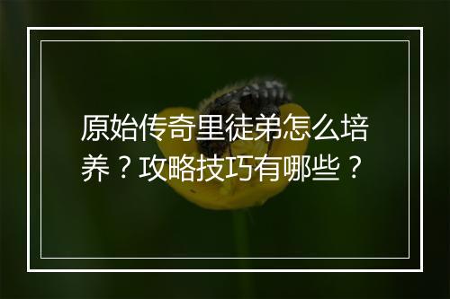 原始传奇里徒弟怎么培养？攻略技巧有哪些？