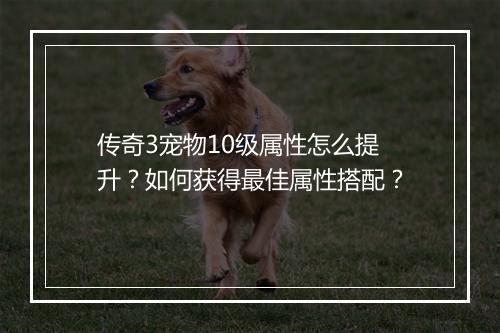 传奇3宠物10级属性怎么提升？如何获得最佳属性搭配？