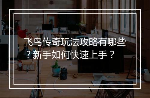 飞鸟传奇玩法攻略有哪些？新手如何快速上手？