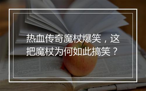 热血传奇魔杖爆笑，这把魔杖为何如此搞笑？