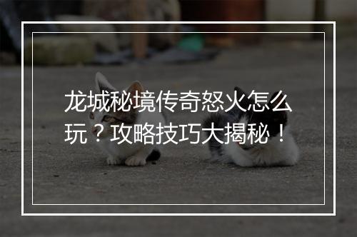 龙城秘境传奇怒火怎么玩？攻略技巧大揭秘！