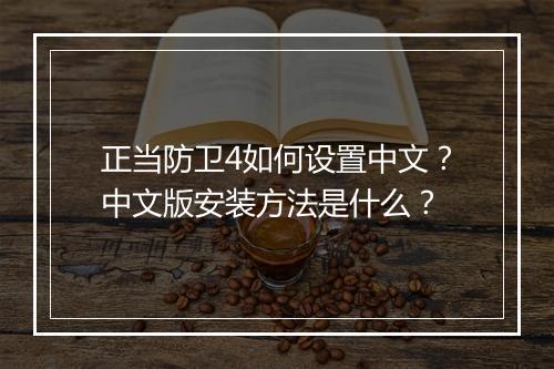 正当防卫4如何设置中文？中文版安装方法是什么？
