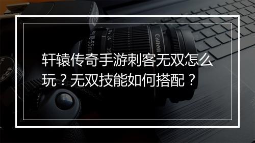轩辕传奇手游刺客无双怎么玩？无双技能如何搭配？