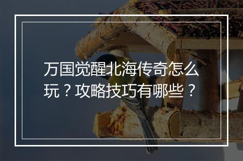 万国觉醒北海传奇怎么玩？攻略技巧有哪些？