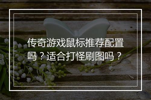 传奇游戏鼠标推荐配置吗？适合打怪刷图吗？
