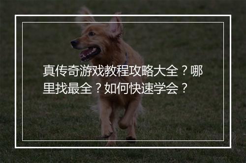 真传奇游戏教程攻略大全？哪里找最全？如何快速学会？