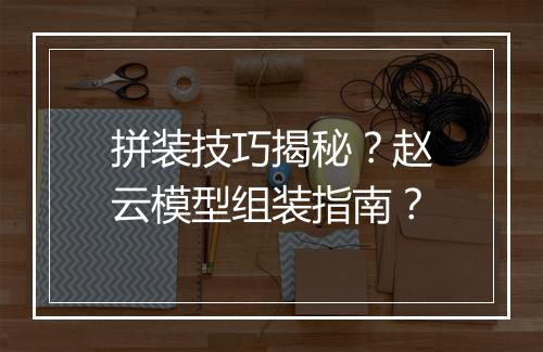 拼装技巧揭秘？赵云模型组装指南？