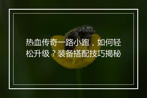 热血传奇一路小跑，如何轻松升级？装备搭配技巧揭秘