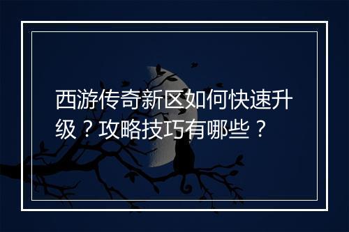 西游传奇新区如何快速升级？攻略技巧有哪些？