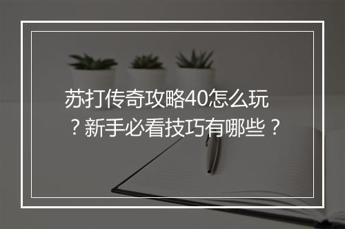 苏打传奇攻略40怎么玩？新手必看技巧有哪些？